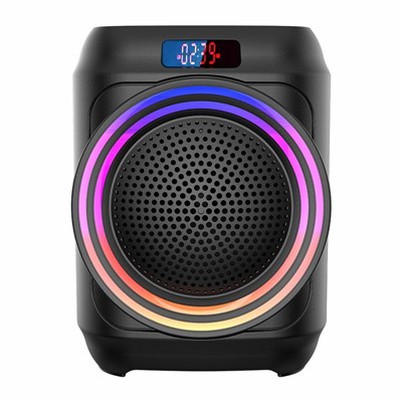 6,5 collu pārnēsājamais skaļrunis ar rokturi