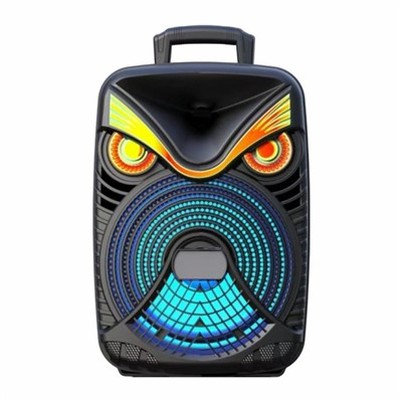 Pārnēsājams 12 collu skaļrunis ar DJ skaņu