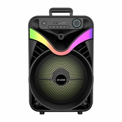 Profesionāls 12 collu Bluetooth ratiņu skaļrunis